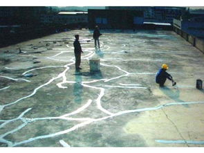 珠海外墻清洗、屋面整體防水補漏及管道疏通綜合服務解析