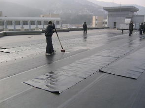 番禺防水補漏與管道疏通 選擇專業防水公司的重要性