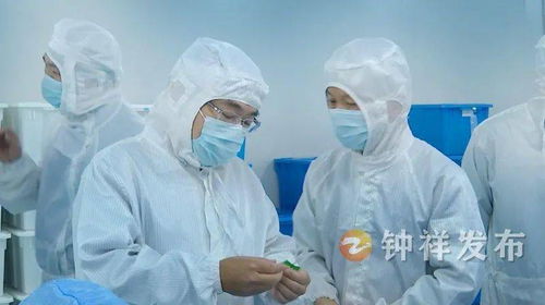 周軍帶隊赴南昌、上海開展精準(zhǔn)招商考察 聚焦產(chǎn)業(yè)升級與項目合作