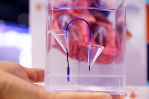 2023年憲法宣傳周 法治文化主題普法宣傳活動啟動，聚焦獸醫(yī)醫(yī)療器械領(lǐng)域